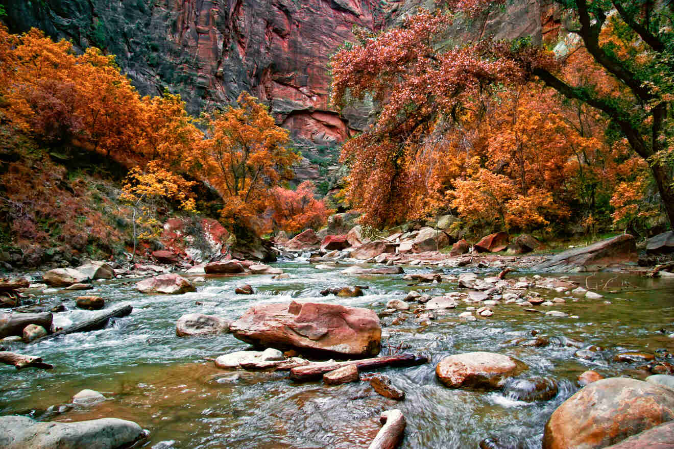 7 Where to stay with the family  in Zion